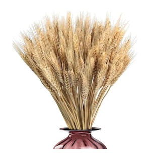 Foto 4 | Foto 4 | ''ramo De Trigo Naturaleza Muerta Decoracion 150 Espigas ''
