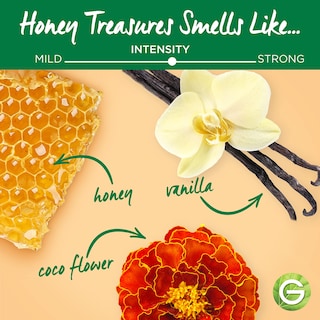 Foto 5 | Foto 5 | Champú En Barra Garnier Whole Blends Restoring Honey 60 Ml X2 - Venta Internacional.