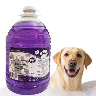 Foto 3 | Foto 3 | Shampoo Lavanda Romero 5l Pets Zoohugs Mxzfr-004 4 Piezass Color Violeta