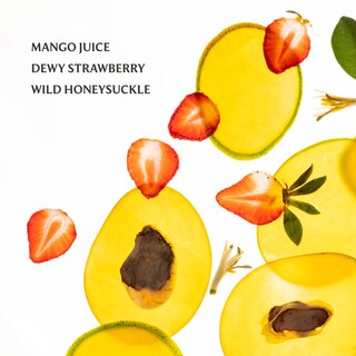 Foto 4 | Foto 4 | Fragancia Para Cuerpo Y Cabello Touchland Power Essence Mango 60 Ml - Venta Internacional.