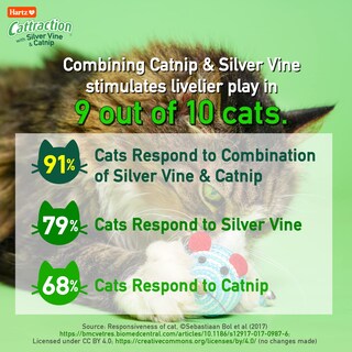 Foto 4 | Foto 4 | Paquete Variado De Juguetes Para Gatos Hartz Cattraction Con Vid Plateada Y Hierba Gatera - Venta Internacional.