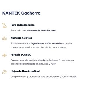 Foto 4 | Foto 4 | Kantek Cachorro 20 Kg Original Sellado