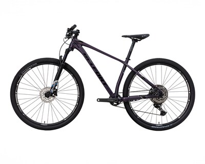 Foto 8 | Foto 8 | Bicicleta Belfort Zamna Comp B2 R29 T17 Purpura Negro 2025