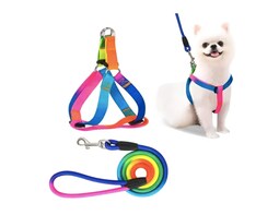 Correa Xtellar Y Arnes Para Perro Chico Y Mediano Ajustable Arcoíris