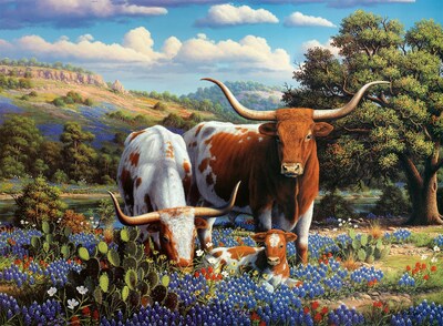 Foto 1 | Foto 1 | Rompecabezas Ravensburger Loving Longhorns 500 Piezas - Venta Internacional.