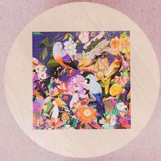 Foto 7 | Foto 7 | Rompecabezas Ravensburger Art & Soul Para Observar Aves 750 Unidades - Venta Internacional.