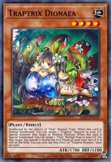 Foto 2 | Foto 2 | Yu-gi-oh! Tcg Structure Deck ¡cuidado Con Traptrix - Venta Internacional.