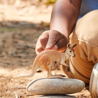 Foto 3 | Foto 3 | Figura De Animal Schleich Wild Life Con Forma De Canguro Para Niños A Partir De 3 Años - Venta Internacional.