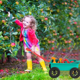 Foto 4 | Foto 4 | Set De Juegos De Jardinería Deao Kids Garden Wagon Wheelbarrow - Venta Internacional.