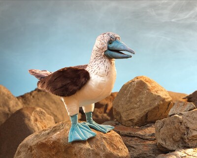 Foto 4 | Foto 4 | Marioneta De Mano Folkmanis Pajarito Piquero De Patas Azules - Venta Internacional.