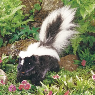 Foto 2 | Foto 2 | Marioneta De Mano Folkmanis Skunk Para Bebés Y Niños - Venta Internacional.