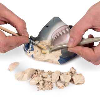 Foto 3 | Foto 3 | Kit De Excavación De Fósiles De Dientes De Tiburón De National Geographic Para Niños - Venta Internacional.