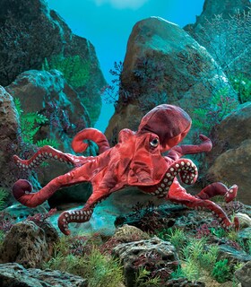 Foto 2 | Foto 2 | Marioneta De Mano Folkmanis Red Octopus Para Bebés Y Niños - Venta Internacional.