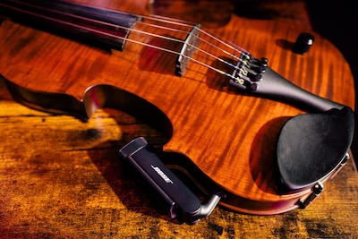 Foto 5 | Foto 5 | Transmisor De Instrumentos Inalámbrico Bose S1 Pro+ Pa System - Venta Internacional.