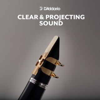 Foto 5 | Foto 5 | Cañas Para Clarinete Bajo D'addario Woodwinds Rico Rea2530 Paquete De 25 - Venta Internacional.