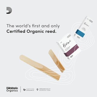 Foto 2 | Foto 2 | Cañas Para Clarinete D'addario Organic Reserve Bb 2.5 Strength Paquete De 10 - Venta Internacional.