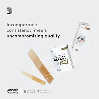 Foto 4 | Foto 4 | Cañas Para Saxofón Alto D'addario Organic Select Jazz 2 Soft - Venta Internacional.