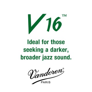 Foto 2 | Foto 2 | Cañas Para Saxofón Alto Vandoren V16 Strength 2 (caja De 10) - Venta Internacional.