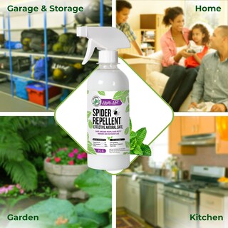 Foto 5 | Foto 5 | Aerosol Repelente De Arañas Mighty Mint Aceite De Menta 240 Ml Paquete De 2 - Venta Internacional.