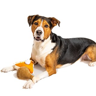 Foto 2 | Foto 2 | Set De Juguetes Para Perros Midlee Comida De Acción De Gracias Pastel De Calabaza Y Pata De Pavo - Venta Internacional.