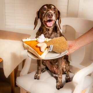 Foto 3 | Foto 3 | Set De Juguetes Para Perros Midlee Comida De Acción De Gracias Pastel De Calabaza Y Pata De Pavo - Venta Internacional.