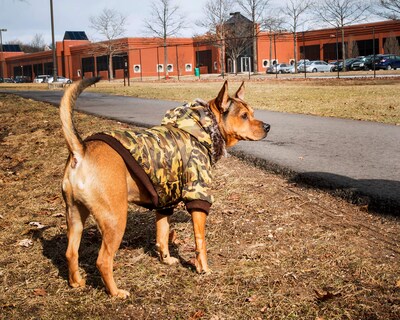 Foto 2 | Foto 2 | Parka De Esquí Metálica Dog Coat Pet Life Con Capucha Extraíble - Venta Internacional.