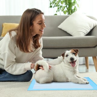 Foto 6 | Foto 6 | Almohadilla De Entrenamiento Fluffydream Superabsorbente Impermeable 40 Unidades - Venta Internacional.