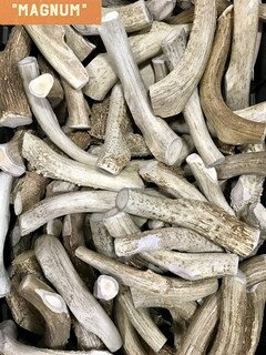 Foto 2 | Foto 2 | Juguete Masticable Con Cuernos De Ciervo Natural Dakota Premium Xl Magnum - Venta Internacional.