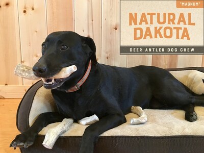 Foto 4 | Foto 4 | Juguete Masticable Con Cuernos De Ciervo Natural Dakota Premium Xl Magnum - Venta Internacional.