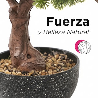 Foto 3 | Foto 3 | Bonsai Artificial 50cm Planta De Decoración