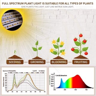 Foto 3 | Foto 3 | Grow Light Beah Full Spectrum Para Plantas De Interior (paquete De 2) - Venta Internacional.