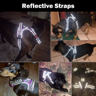 Foto 5 | Foto 5 | Arnés Para Perros Phoepet Chaleco Reflectante Ajustable Con Clip Frontal Xs - Venta Internacional.