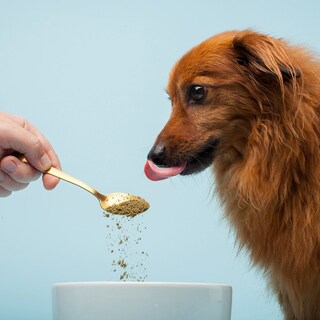 Foto 2 | Foto 2 | Complementa The Missing Link Skin & Coat Con Probióticos De 2 27 Kg - Venta Internacional.