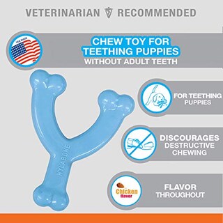 Foto 4 | Foto 4 | Juguete Masticable Nylabone Wishbone Puppy Blue Original Chicken Xs - Venta Internacional.