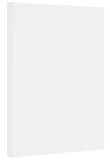Foto 1 | Foto 1 | Cartulina Papel S Impresión Superfina Vitela Bristol 67 Libras A4 - Venta Internacional.
