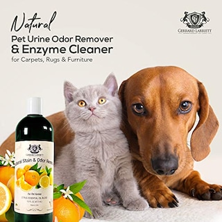 Foto 2 | Foto 2 | Limpiador Enzimático Y Eliminador De Olores De Orina Para Mascotas Gerrard Larriett 473 - Venta Internacional.