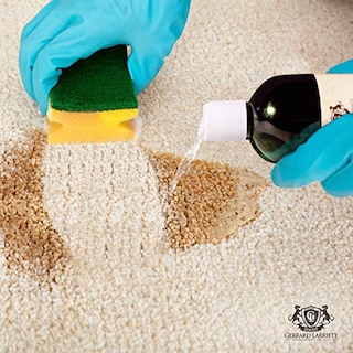 Foto 3 | Foto 3 | Limpiador Enzimático Y Eliminador De Olores De Orina Para Mascotas Gerrard Larriett 473 - Venta Internacional.