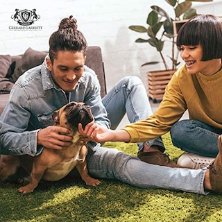 Foto 4 | Foto 4 | Limpiador Enzimático Y Eliminador De Olores De Orina Para Mascotas Gerrard Larriett 473 - Venta Internacional.