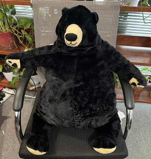 Foto 5 | Foto 5 | Peluche De Peluche Miaohaha Negro 80 Cm Para Niñas Y Niños - Venta Internacional.