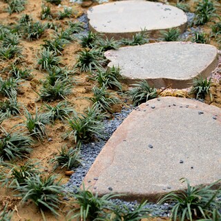 Foto 6 | Foto 6 | Piedras River Rocks Anothera Para Plantas 1 36 Kg (6-9 Mm) - Venta Internacional.