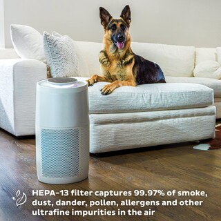 Foto 5 | Foto 5 | Purificador De Aire Instant Hepa Quiet Con Tecnología Plasma Ion 180 M² - Venta Internacional.