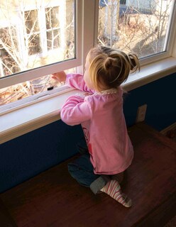 Foto 6 | Foto 6 | Sensores De Alarma De Ventana Y Alarmas De Puerta Para La Seguridad De Los Niños (paquete De 10) - Venta Internacional.