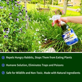 Foto 6 | Foto 6 | Fundas En Aerosol Nature's Mace Repelentes De Conejos 1 Litro 520 M² - Venta Internacional.