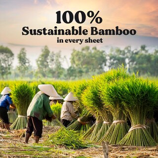 Foto 2 | Foto 2 | Papel Higiénico Zeno Organic Bamboo 3 Capas 12 Rollos Gigantes - Venta Internacional.