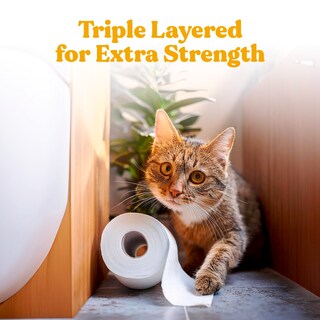 Foto 6 | Foto 6 | Papel Higiénico Zeno Organic Bamboo 3 Capas 12 Rollos Gigantes - Venta Internacional.