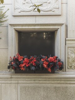 Foto 6 | Foto 6 | Plantas Artificiales Clycaloor  16 Unidades  Hojas De Arce Para Halloween - Venta Internacional.