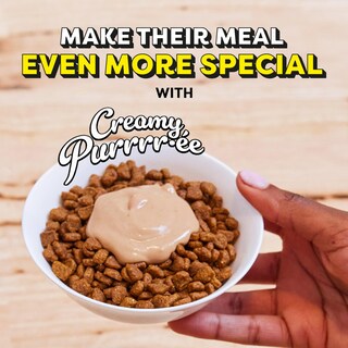 Foto 6 | Foto 6 | Puré Cremoso Cat Treats Temptations Con Pollo 12 M+ 44 X 0.42 Oz - Venta Internacional.
