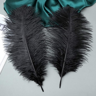 Foto 4 | Foto 4 | Feathers Ballinger Black Avestruz 35-40 Cm 12 Unidades Para Jarrón - Venta Internacional.
