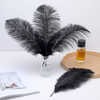 Foto 5 | Foto 5 | Feathers Ballinger Black Avestruz 35-40 Cm 12 Unidades Para Jarrón - Venta Internacional.