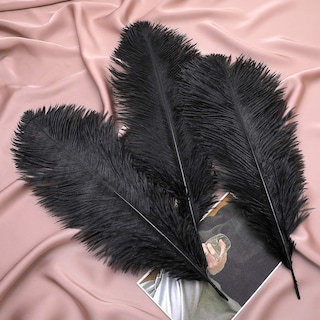 Foto 7 | Foto 7 | Feathers Ballinger Black Avestruz 35-40 Cm 12 Unidades Para Jarrón - Venta Internacional.
